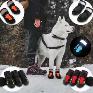 Trendy Gadgets