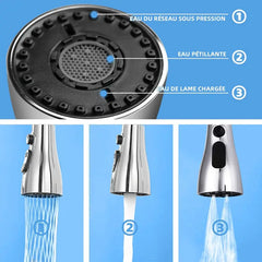 Multi-Function Kitchen Sprayer