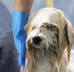 FurMaster Grooming Mitts
